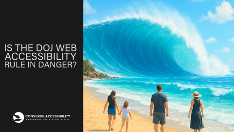 People watching tsunami with text, "is the DOJ web accessibility rule in danger?"